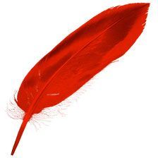 Red Feather from the Firebird