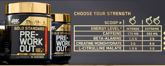 Optimum Nutrition Gold Standard Pre-Workout Energy Endurance