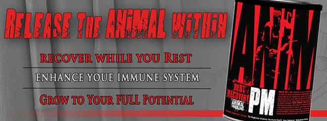 Universal Nutrition Animal PM Release the animal within