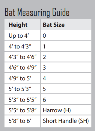 Crazy Cricket Bat Ball Set Sizes 6 4 2 0 Ram Cricket