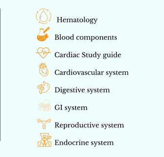 Next Gen NCLEX Study Bundle® – futurenursebundle