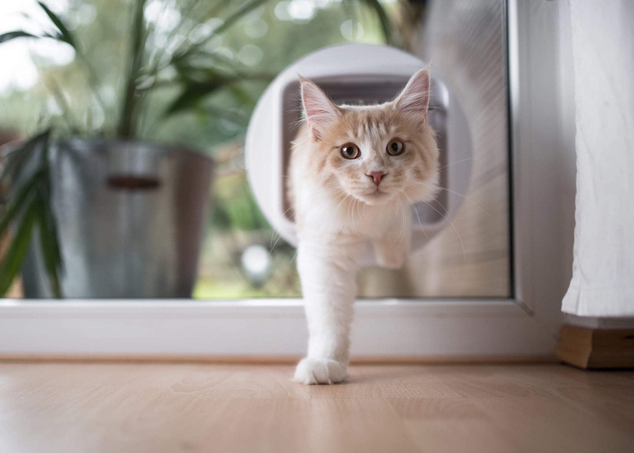 iStock-1138902734_compressed.webp__PID:7a512dd1-fd8f-4ffe-9807-209082fd697d