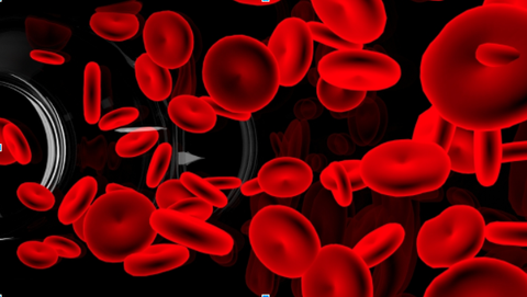 blood cells antioxidants