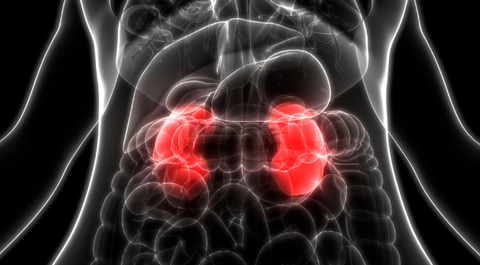 chronic kidney pain