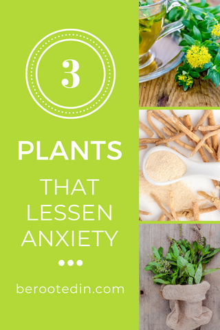 herbs for anxiety, natural herbs for anxiety, best herbs for anxiety, herbs for anxiety and depression, herb for depression and anxiety, best herb for anxiety, herb for anxiety, herbs for stress and anxiety, natural herbs for anxiety and panic attacks, natural herb for anxiety, herbs for anxiety and stress, strongest herbs for anxiety