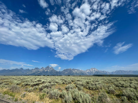 The mountains of the Tetons with a field in front and clouds above in a very blue sky