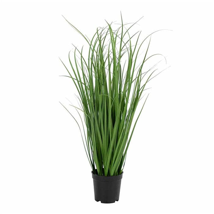 Poa Grass - kunstig plante, Eget lager - House Nordic