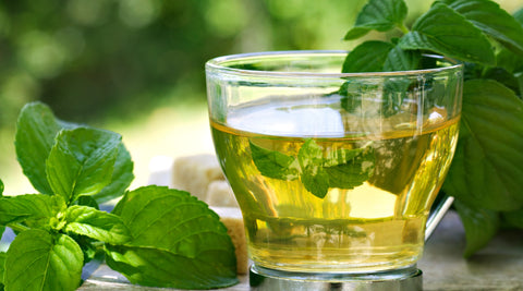 Maghrebi's Mint Green Tea