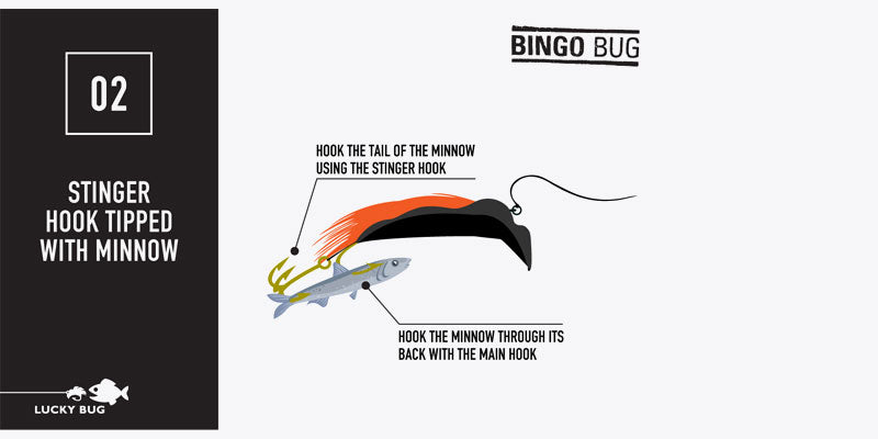Bingo Bug Using Stinger 2
