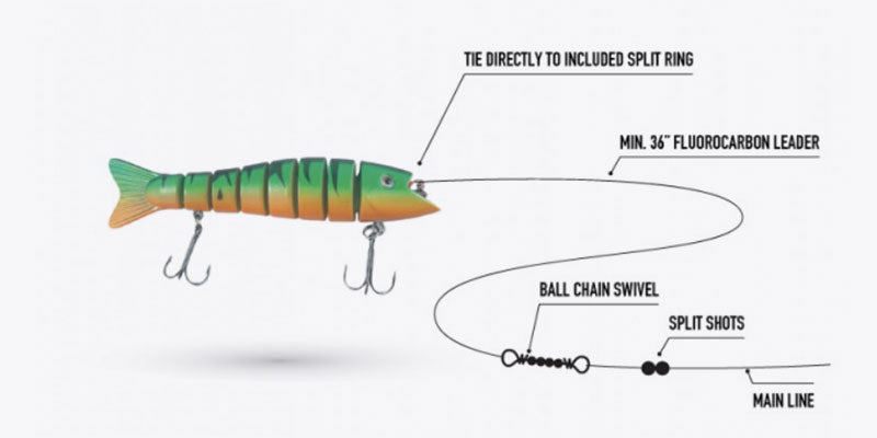 Lucky Bug Lures Zombie Max Tackle Graph