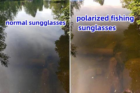 Can Polarized Sunglasses See Through Water