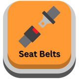 Golf Cart Seat Belts