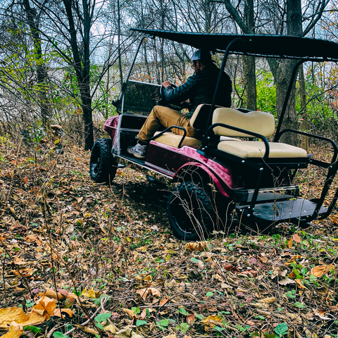 Dual Action Golf Cart Leaf Springs