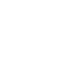 RISE MULTIVERSITY