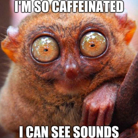 caffeine meme