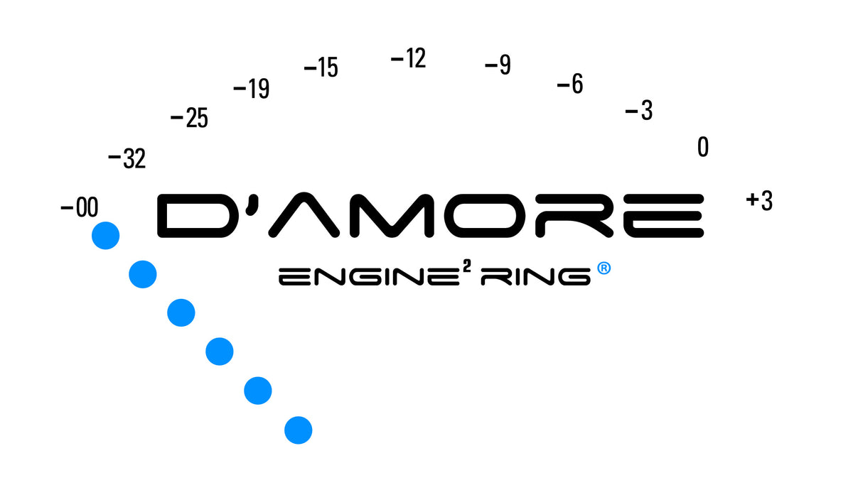 D'Amore Engineering