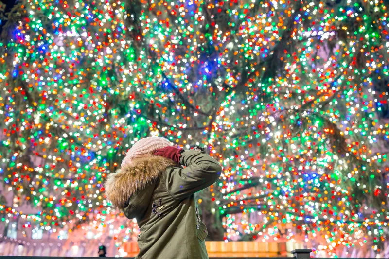 Projecteur noël LED Extérieur Lumière tombante de neige blanc