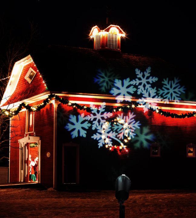 Lumières féeriques et rennes de Noël avec lumière - 30 cm -40 lumières LED