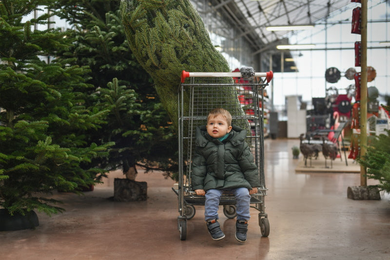 Un enfant dans un chariot pour acheter un sapin