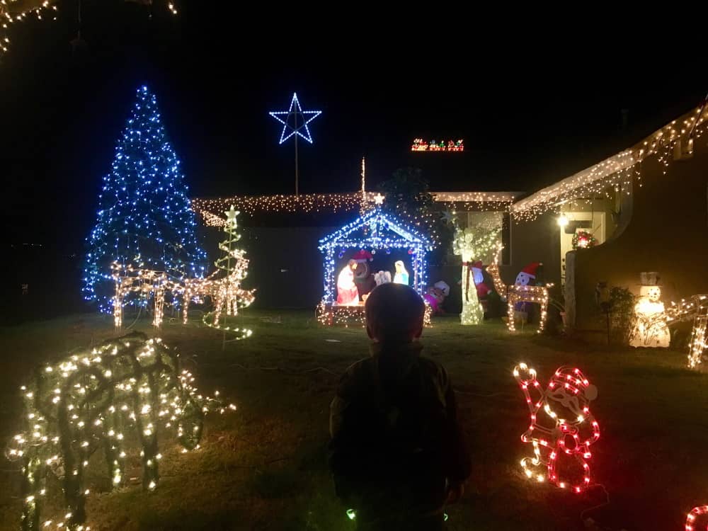 Guirlande de noël dans un jardin