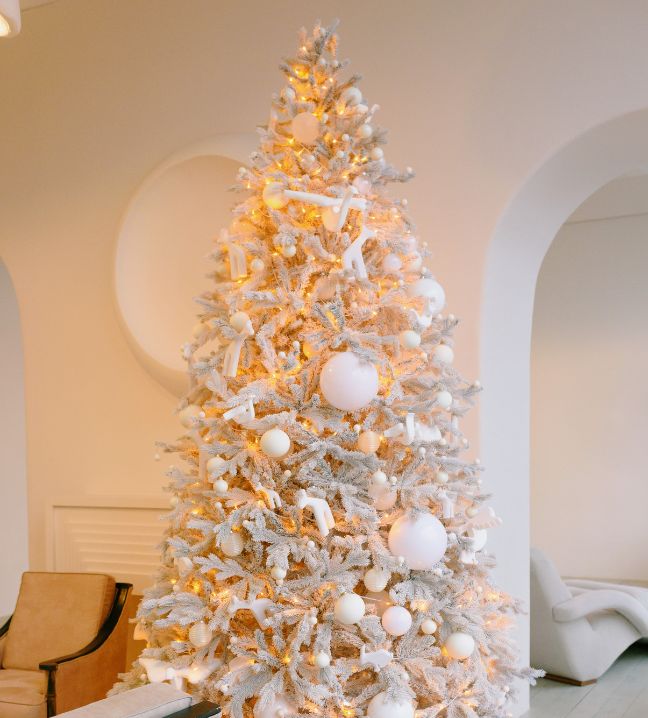 Un sapin blanc