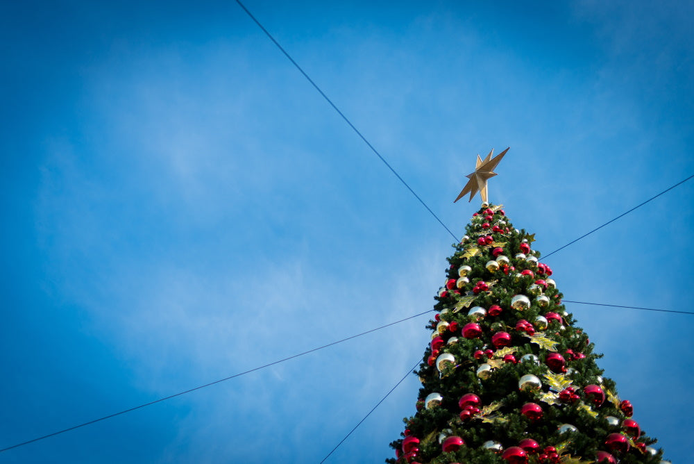 Un grand sapin de noël à l'extérieur