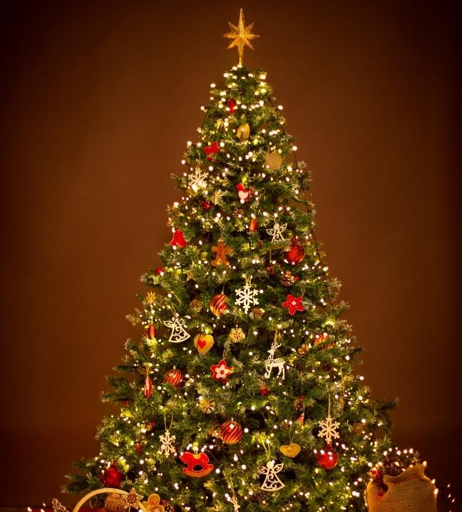 Un père avec sa fille et un sapin de Noël