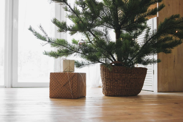 Un mini sapin au bord d'une fenêtre