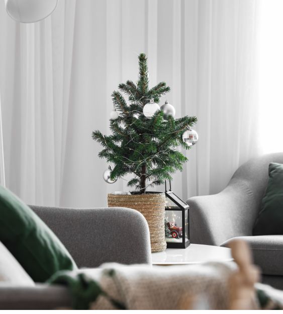 Comment décorer un sapin blanc ?