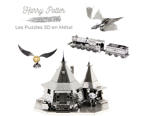 Puzzle 3D d'Harry Potter