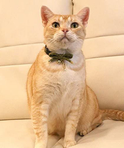 Necoichi Zen halsband | Katten | Groen | Vis bedel | Verstelbaar van 20 tot 35cm
