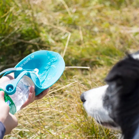 SpirePets Silicone Leaf Waterfles - Fles met drinkdop voor honden of katten om te drinken
