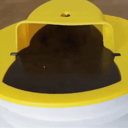 SmartCatch Bucket Lid Rats Trap
