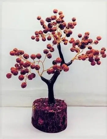 Energized Rudraksha Tree - Blessings of Lord Shiva for Prosperity and Well-being