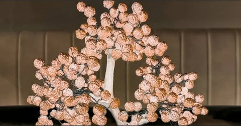 Energized Rudraksha Tree - Blessings of Lord Shiva for Prosperity and Well-being