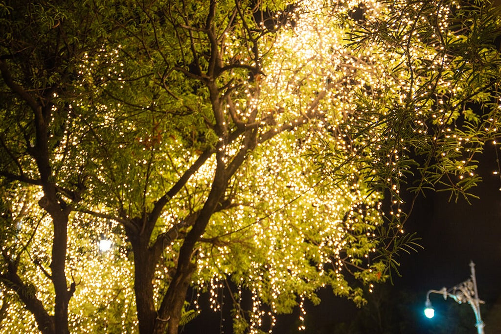 Tree canopy with LED string lights