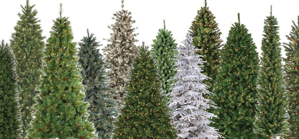 Collection of different styles of Christmas trees