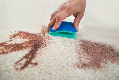 limpiando una alfombra
