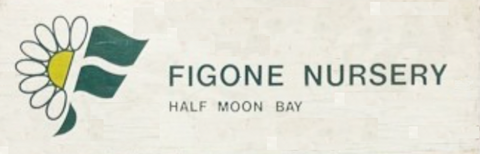 The Figone Nursery Logo