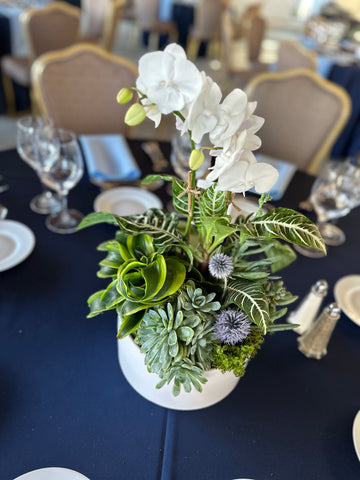 Fairmont Hotel Corporate two day event long lasting centerpieces planted arrangement by gorgeous and green