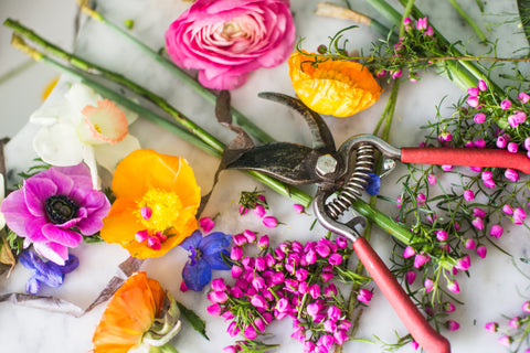 Floral sheers on flowers for a photoshoot by Gorgeous and Green