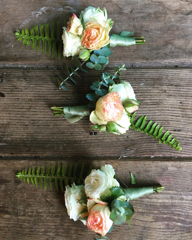 sweet boutonnieres with blush and cream and ferns by Gorgeous and Green