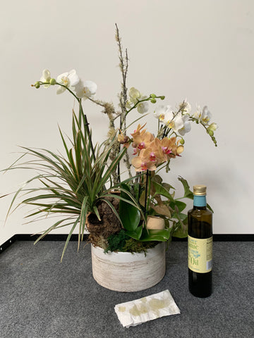 florist hack, use olive oil and water on a rag to clean household plants and orchid leaves and make them shine