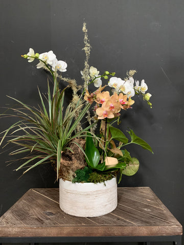 Planted florist arrangement of house plants and orchids by Gorgeous and Green