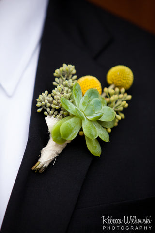 Succulent and crespedia boutonniere by Gorgeous and Green