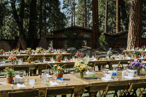 Reception table setup with rainbow bud vases and potted plants for Yosemite Wedding Summer wedding by Gorgeous and Green