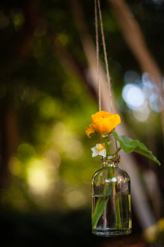 hanging bottles with blooms for the ceremony area at the Mill Valley Outdoor Art Club, by Gorgeous and Green