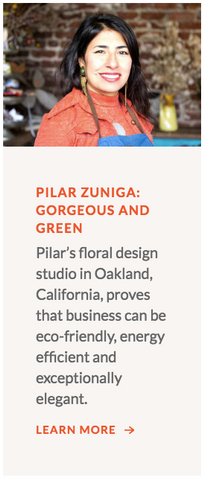 Pilar Zuniga of Gorgeous and Green is an Energy Upgrade Hero