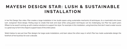 Snippet from the Mayesh Design Star website