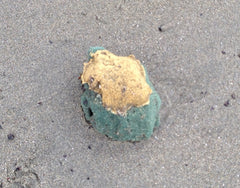floral foam found washed up on the Emeryville Beach